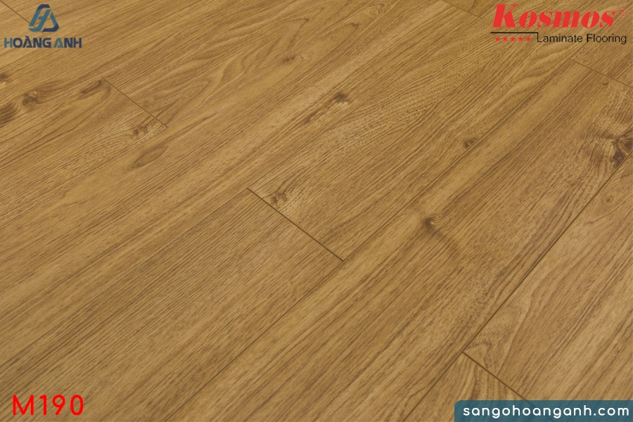 san go kosmos m190 8mm