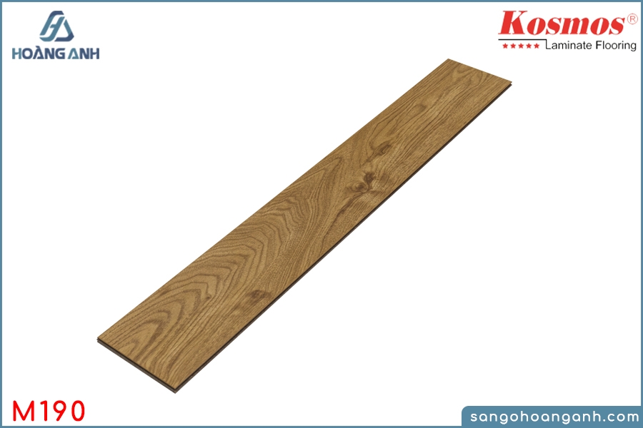 san go kosmos m190 8mm