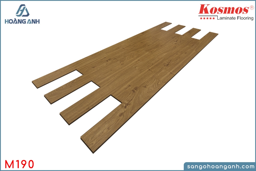 san go kosmos m190 8mm