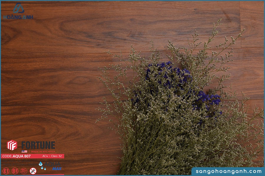 san go fortune aqua 807 8mm