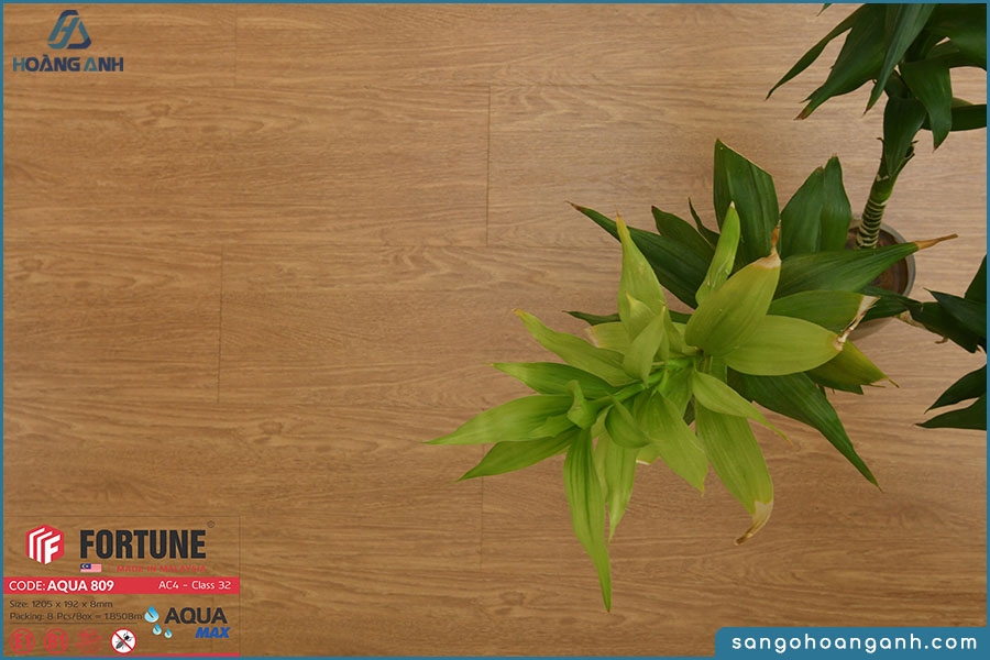 san go fortune aqua 809 8mm