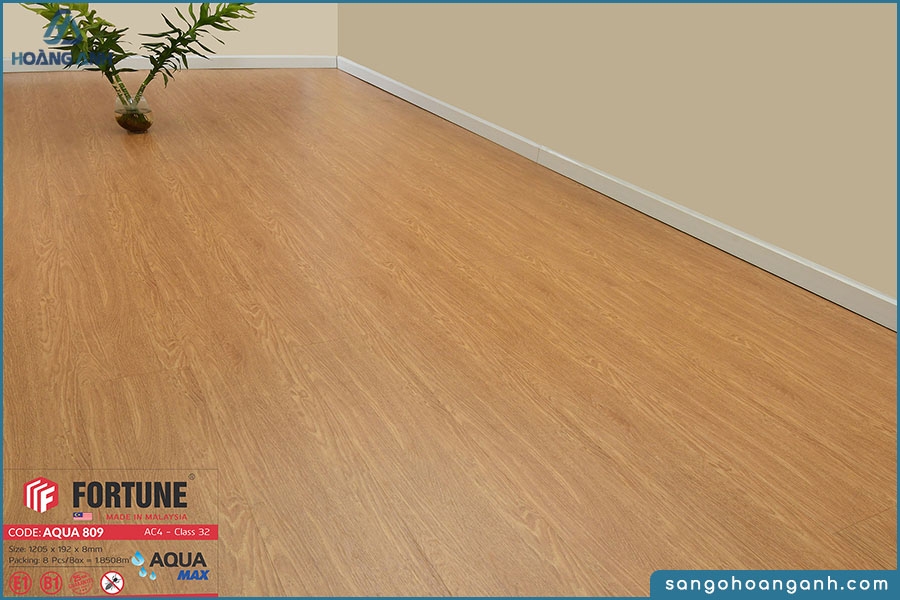 san go fortune aqua 809 8mm