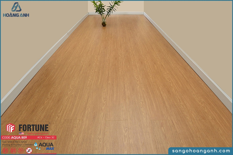 san go fortune aqua 809 8mm