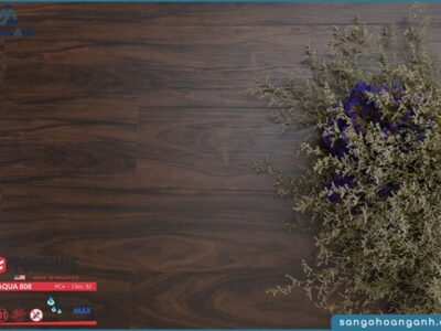 san go fortune aqua 808 8mm 1623678279 wgufc 1