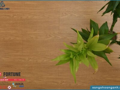 san go fortune aqua 809 8mm 1623678268 k4tm9 1