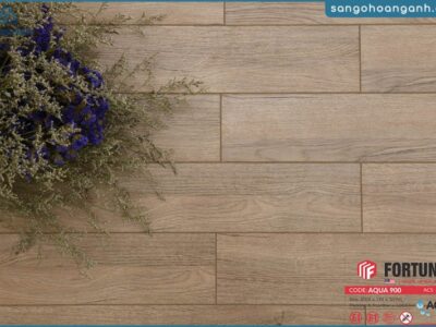 san go fortune aqua 900 12mm 1623678256 plvbc 1