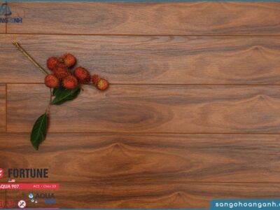 san go fortune aqua 907 12mm 1623678209 oaigw 1