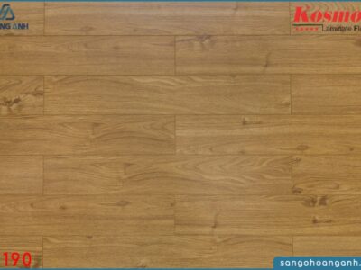 san go kosmos m190 8mm